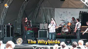 The Whybirds