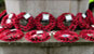 ampthill war memorial